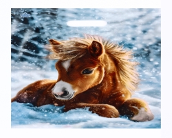 0460b880-ae36-11f0-8dbd-d8bbc1a6d6ee_fa3aaa09-aef6-11f0-8dbd-d8bbc1a6d6ee