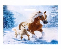 0460b886-ae36-11f0-8dbd-d8bbc1a6d6ee_fa3aaa0a-aef6-11f0-8dbd-d8bbc1a6d6ee