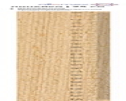 b48d9062-6e43-11ea-b40f-14dae99184ec_b48d9066-6e43-11ea-b40f-14dae99184ec