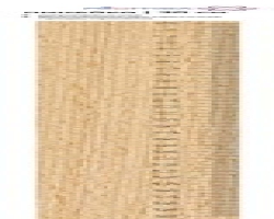 b48d9068-6e43-11ea-b40f-14dae99184ec_b48d906c-6e43-11ea-b40f-14dae99184ec
